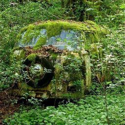 Juan Munoz's profile image