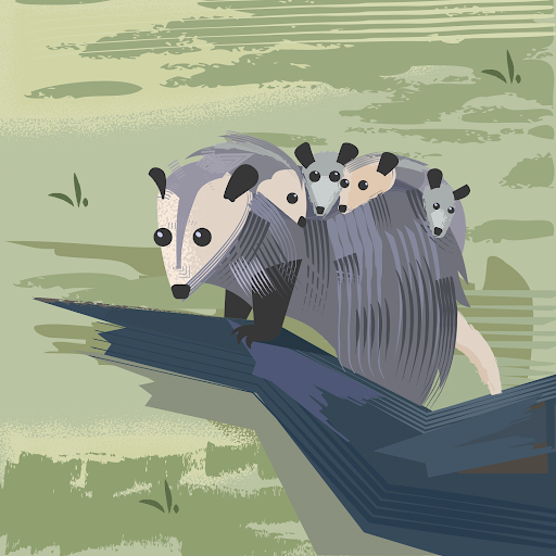 Sara Clark's profile image