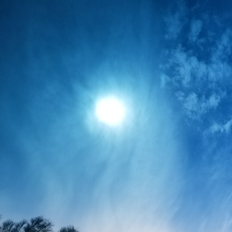 Mitch's profile image