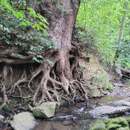 Scott Reviews's profile image