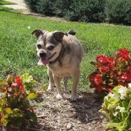 Jacqueline Kolb's profile image