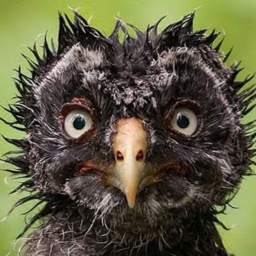Andrea Jones's profile image
