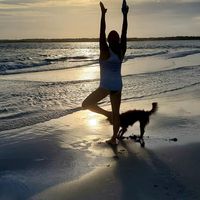 Nicole Vacca's profile image