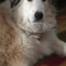 Gina B.'s profile image