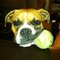 Toni J.'s profile image