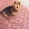 Gail D.'s profile image