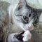 Nancy R.'s profile image