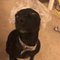 Althea L.'s profile image