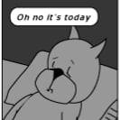 Rhye Mess's profile image