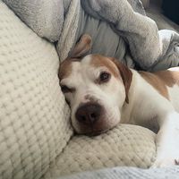 River Hunter Wiley's profile image