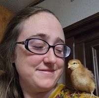 Amanda Morgan's profile image