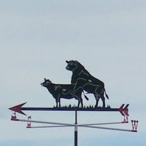 Stanger Land and Livestock's profile image