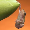 Gregory H.'s profile image