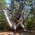 Hailey A. Wood's profile image
