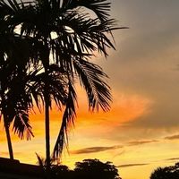 Amy Heifferman's profile image