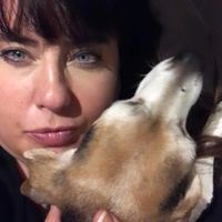 Debra J. McRitchie's profile image