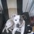Shakey James's profile image