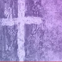 Krista Stewart's profile image