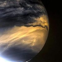 Mondi Amc's profile image