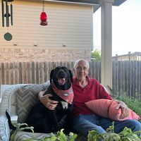 Rick Hopkins's profile image