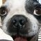 Tess M.'s profile image