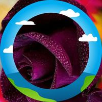 Rounrac Nybol Juk's profile image