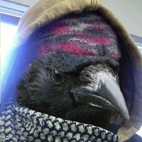 Jon Smyth's profile image