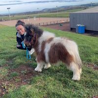 Sarah Mullins's profile image