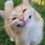 Judy Roberts Purvis's profile image