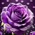 Sally Marie's profile image