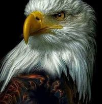Matt Hume's profile image