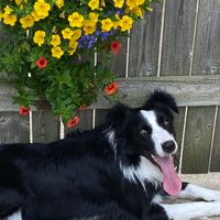 Darlene Langhoff's profile image