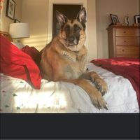 Katie Feuerstein Anderson's profile image