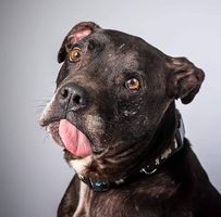 Sherry Owens's profile image