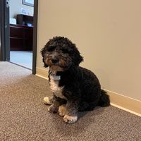 Kevin Flick's profile image