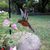 Cindy Dalton Hanna's profile image