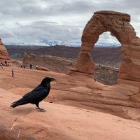 Amanda Lamph Farnworth's profile image