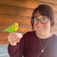 Ashley Wright's profile image