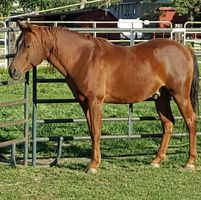 Julee Wing's profile image