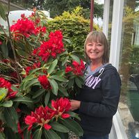 Kathy Willis's profile image