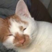 Herb's profile image