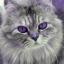 Linda's profile image