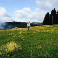 Emel Saatchi's profile image