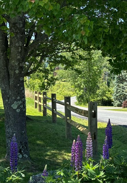 Kent S.'s post 1