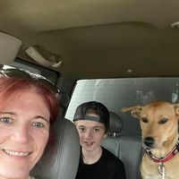 Cheryl Ford's profile image