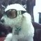 Charmaine C.'s profile image