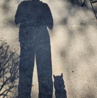 Steve Payne's profile image