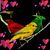 Hanitra Niaina's profile image