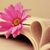 Nabeelah Kajee's profile image