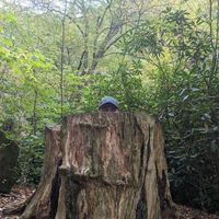 Evan Saunders's profile image
